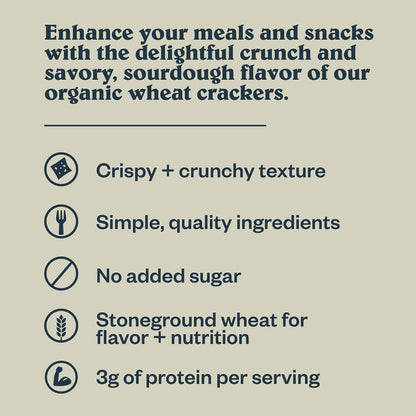 Patagonia Provisions Sourdough Crackers – No Added Sugar Lunchbox Snack for School and Playdates