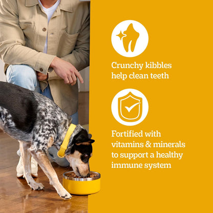 Pedigree Adult Dry Dog Food – Quick Daily Kibble Solution for Working Owners, 18 lb. Bag