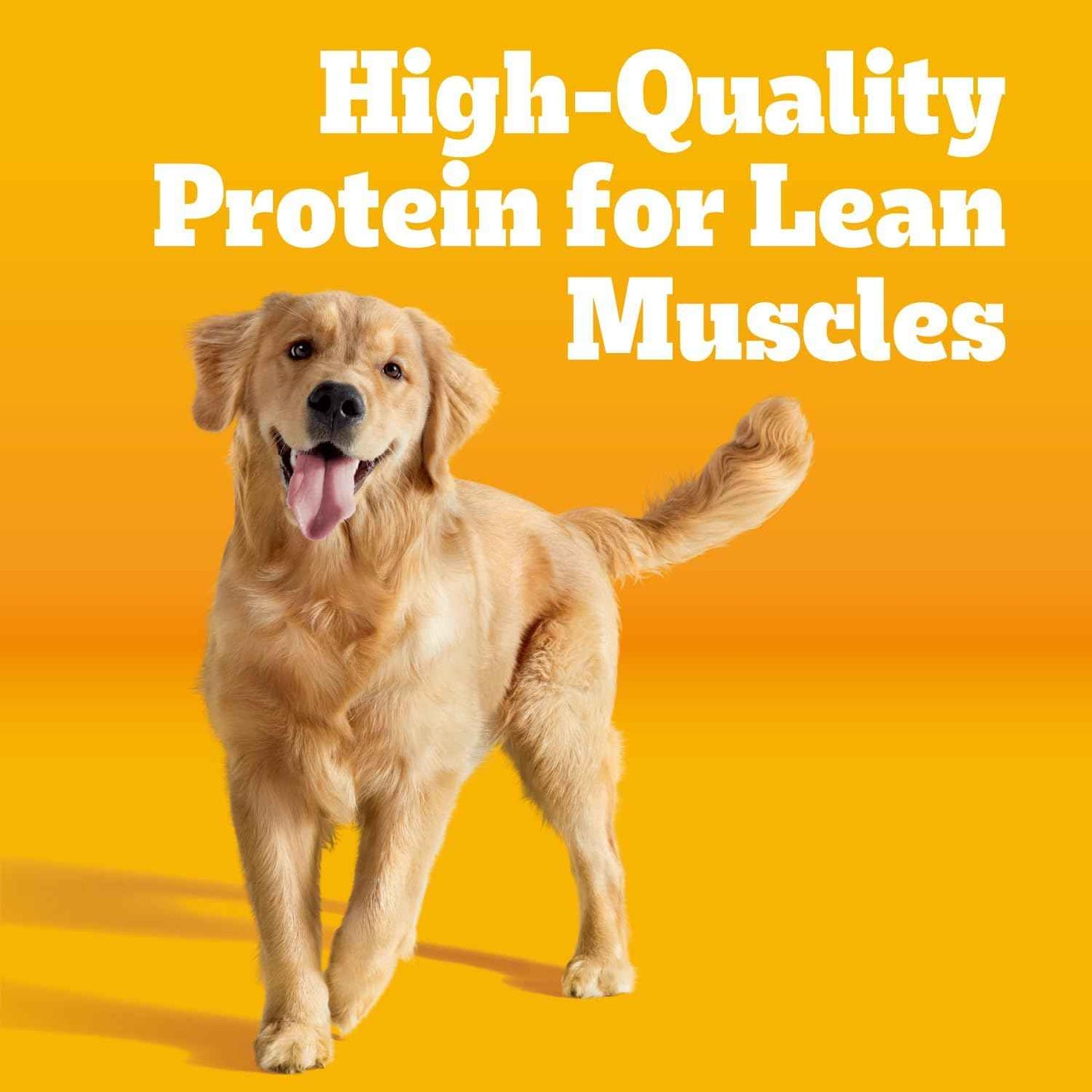 Pedigree Adult Dry Dog Food – Quick Daily Kibble Solution for Working Owners, 18 lb. Bag