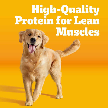 Pedigree Adult Dry Dog Food – Quick Daily Kibble Solution for Working Owners, 18 lb. Bag