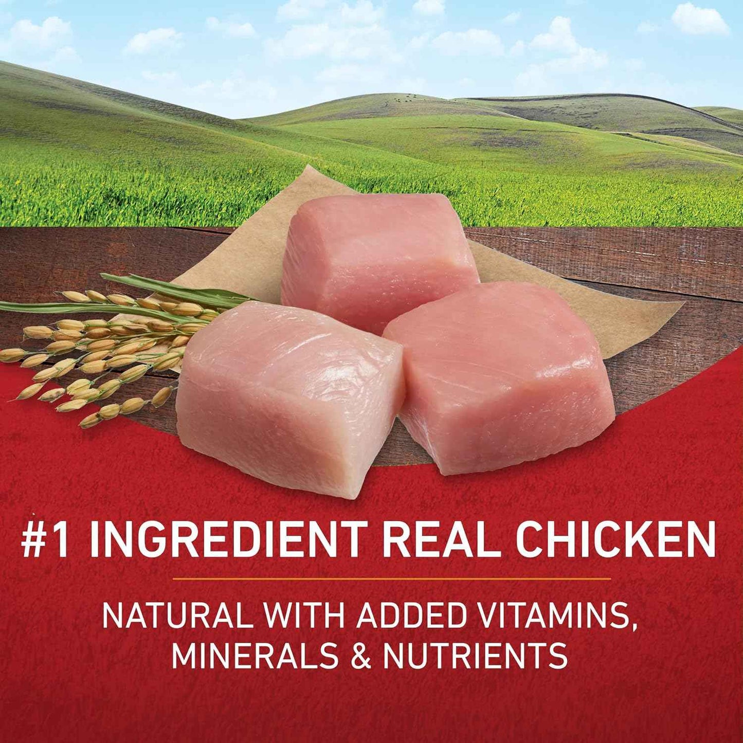 Purina ONE SmartBlend Dog Food with Real Chicken – Wholesome Nutrition Shared by Multi-Generational Households