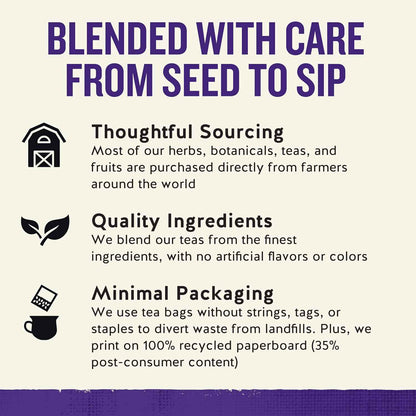 Celestial Seasonings Sleepytime Immune Herbal Tea – Background Calm for Deep Work and Better Rest