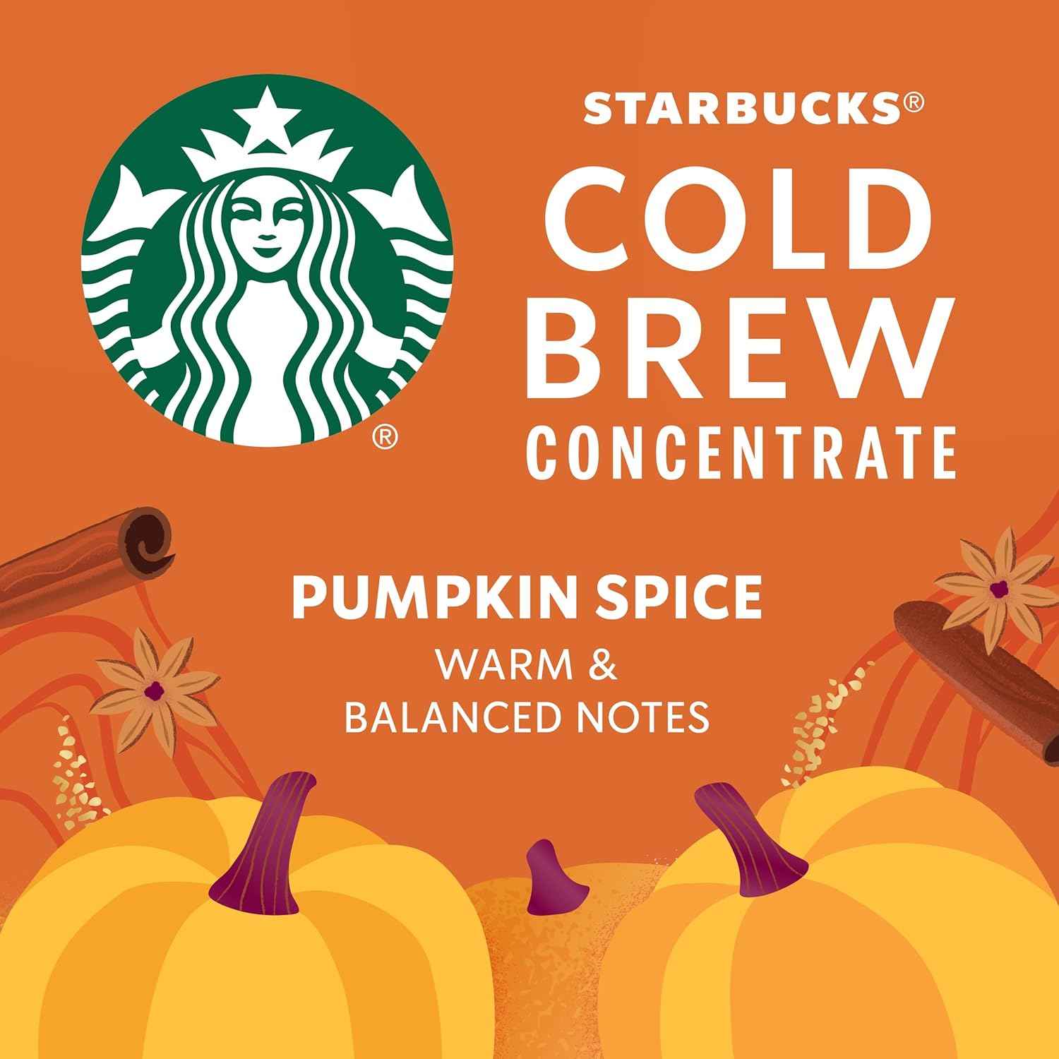 Starbucks Cold Brew Pumpkin Spice Concentrate – Backyard Patio Fall Drink, 32 oz Portable Multi-Serve