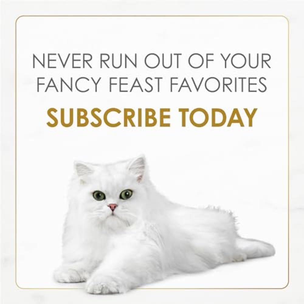 Purina Fancy Feast Gravy Lovers Canned Cat Food – Practical Housewarming Gift for New Multi-Cat Households