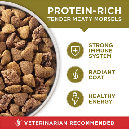 Purina ONE SmartBlend Lamb and Rice Dry Dog Food - Housewarming Gift for Multi-Dog Households, 31.1 lb. Bag