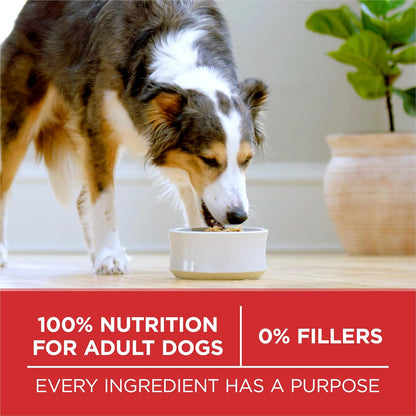 Purina ONE SmartBlend Lamb and Rice Dry Dog Food - Housewarming Gift for Multi-Dog Households, 31.1 lb. Bag