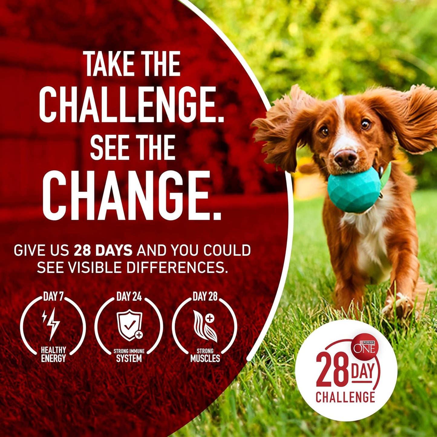 Purina ONE SmartBlend Lamb and Rice Dry Dog Food - Housewarming Gift for Multi-Dog Households, 31.1 lb. Bag