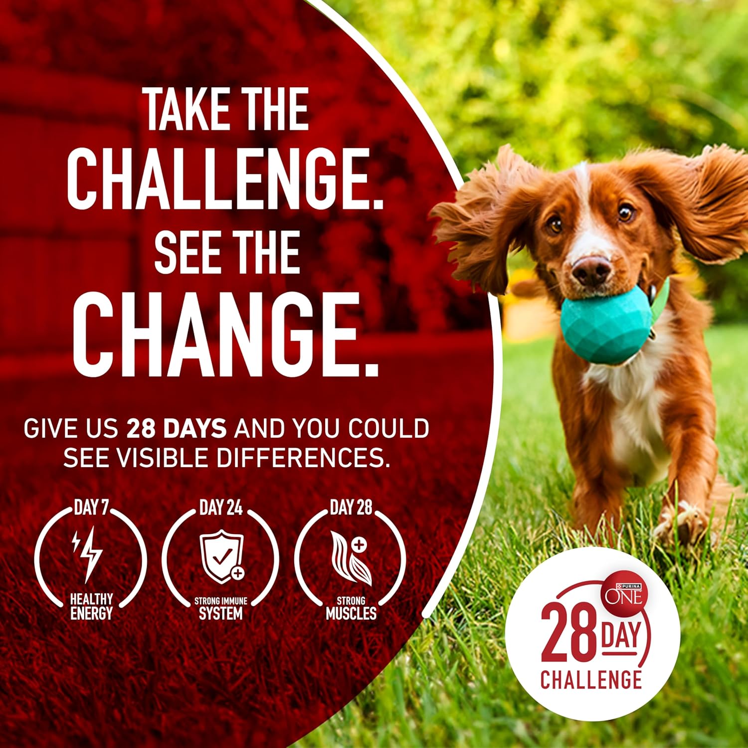 Purina ONE SmartBlend Lamb and Rice Dry Dog Food - Housewarming Gift for Multi-Dog Households, 31.1 lb. Bag