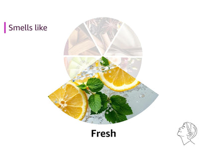 recyclable packaging aligned with sustainability preferences