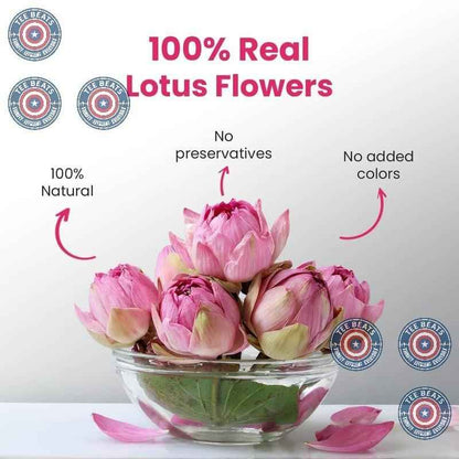 Blue Tea Lotus Flower Tea - 1.40 Oz - 20 Cups | Birthday Gift for Her | Premium Herbal Tea for Tea-Curious Friends