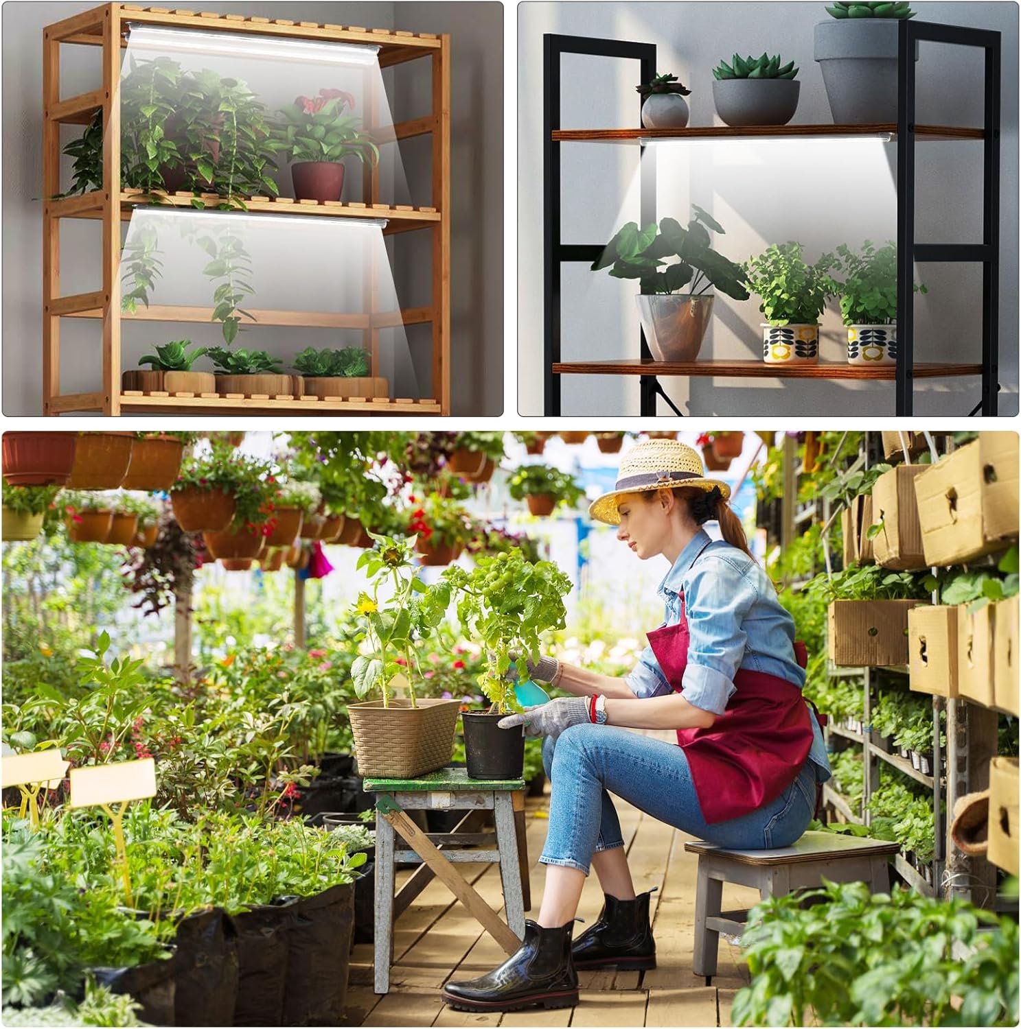 Roleadro 2-Bar Full Spectrum Grow Light – Cozy Bedroom Shelf Accent with Warm 6000K Glow and Auto Timer