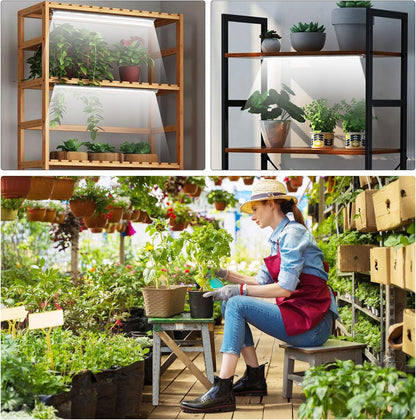 Roleadro 2-Bar Full Spectrum Grow Light – Cozy Bedroom Shelf Accent with Warm 6000K Glow and Auto Timer