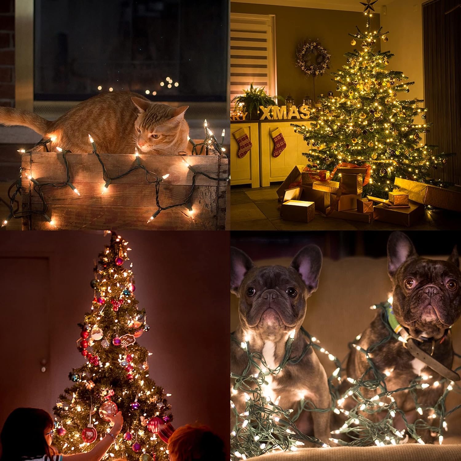 Safe Around Kids and Pets, 150-Bulb Incandescent Mini String Lights with Built-In Fuse and UL Approval, Warm White