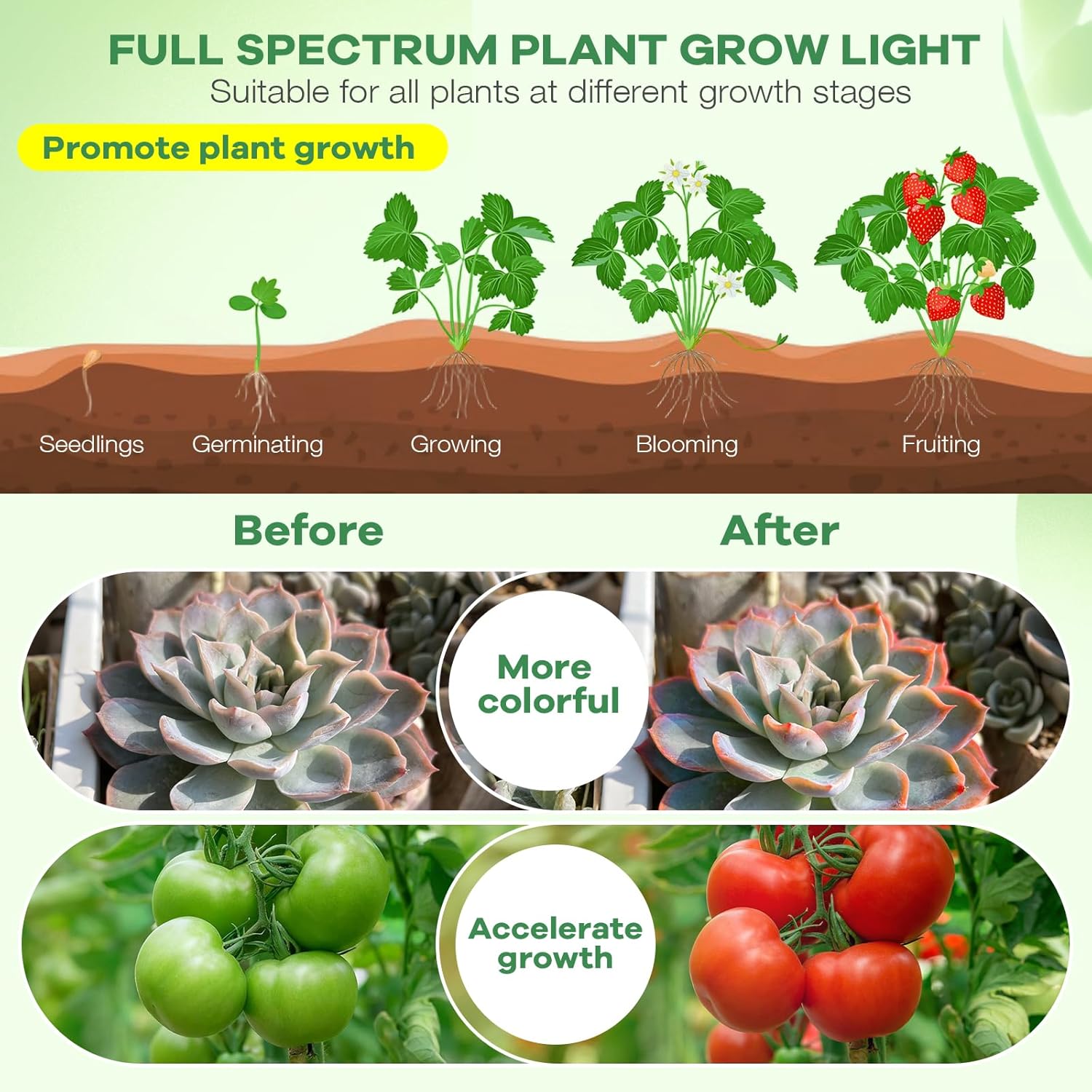 SANSI Grow Light – Calming Plant Companion for Bedroom Wind-Down Rituals and Mindful Spaces