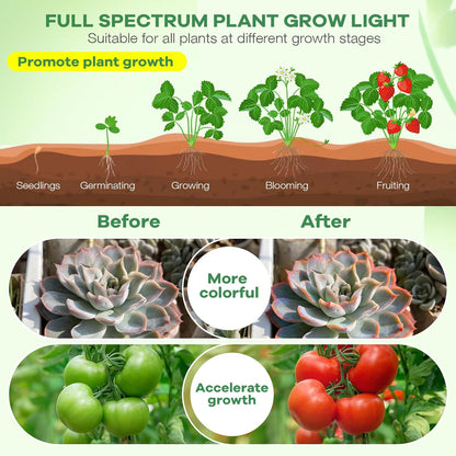 SANSI Grow Light – Calming Plant Companion for Bedroom Wind-Down Rituals and Mindful Spaces