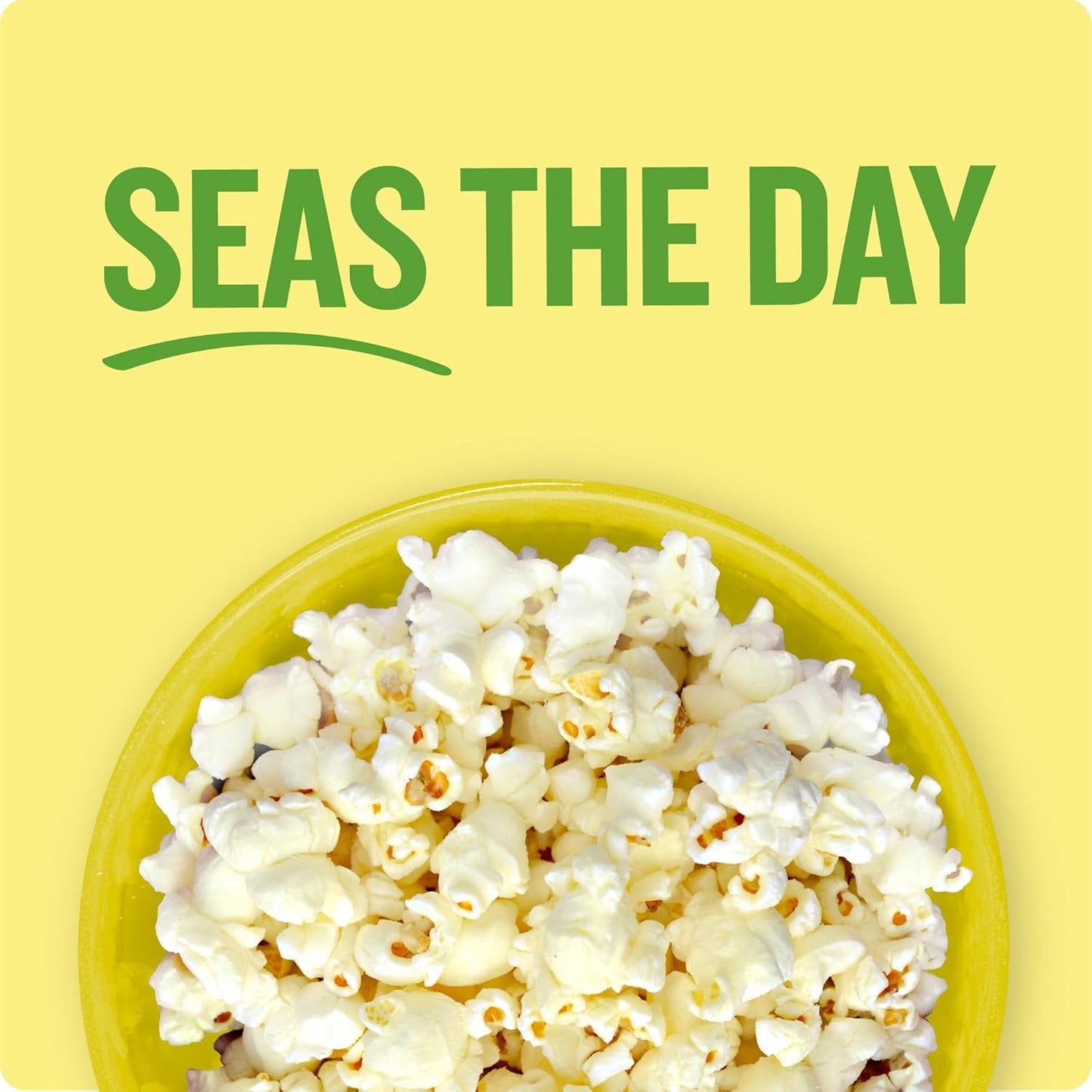 sea salt seasoning only — no artificial flavors or colors