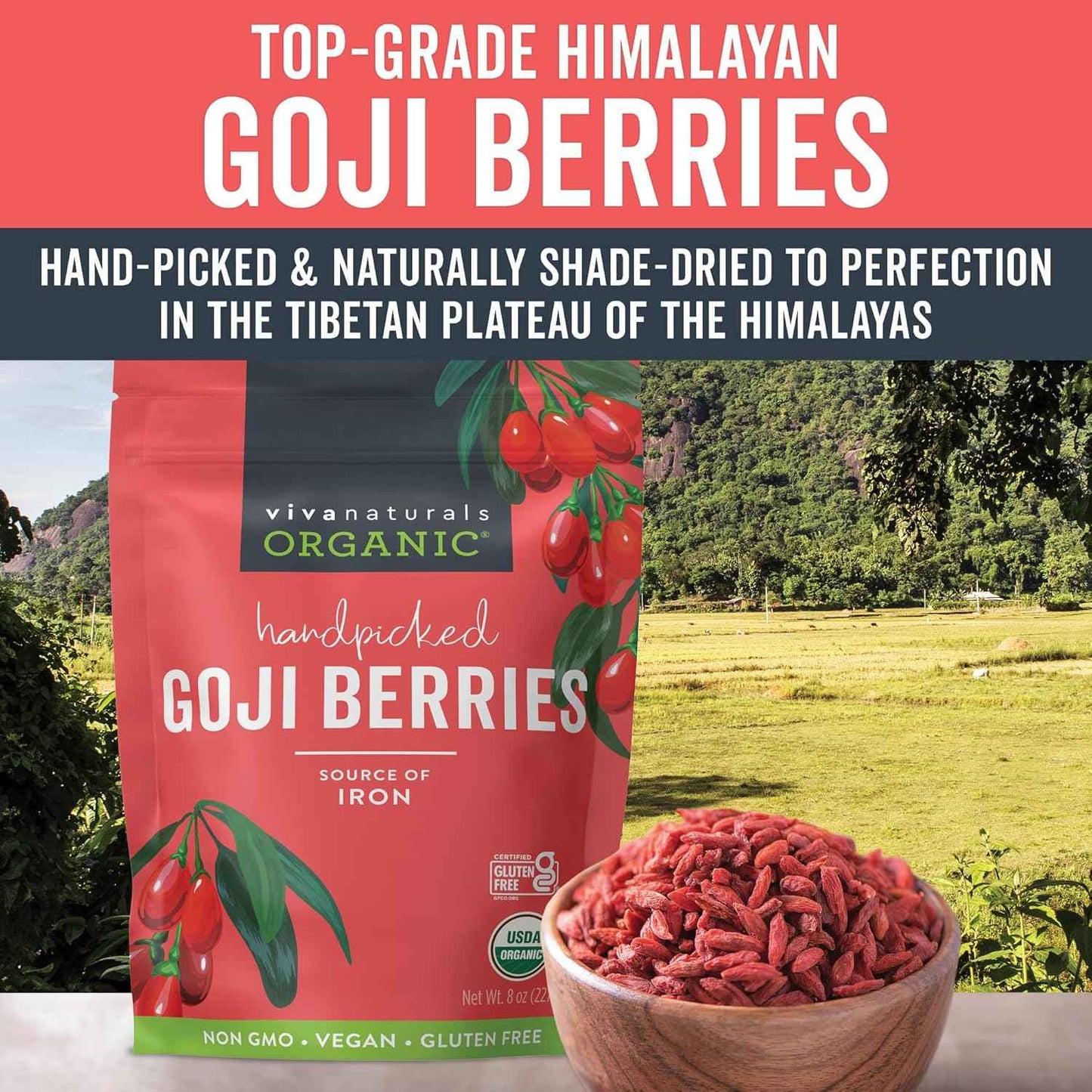Viva Naturals Himalayan Goji Berries – Non-GMO Superfood Pantry Staple for Wellness Routines and Mindful Snacking, 8 oz
