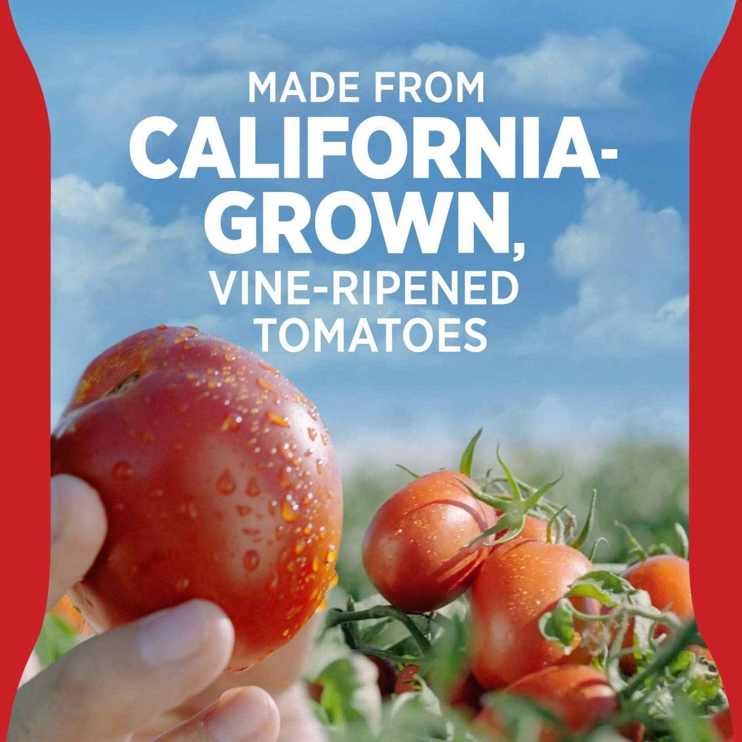 Hunt's All Natural Tomato Ketchup – Clean-Label Pantry Staple for Ingredient-Conscious Home Cooks