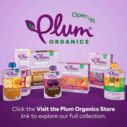 Plum Organics Organic Baby Food Pouches – USDA Certified Non-GMO Stage 2 Puree with Resealable Cap, 4 oz Safe Travel Pack of 4
