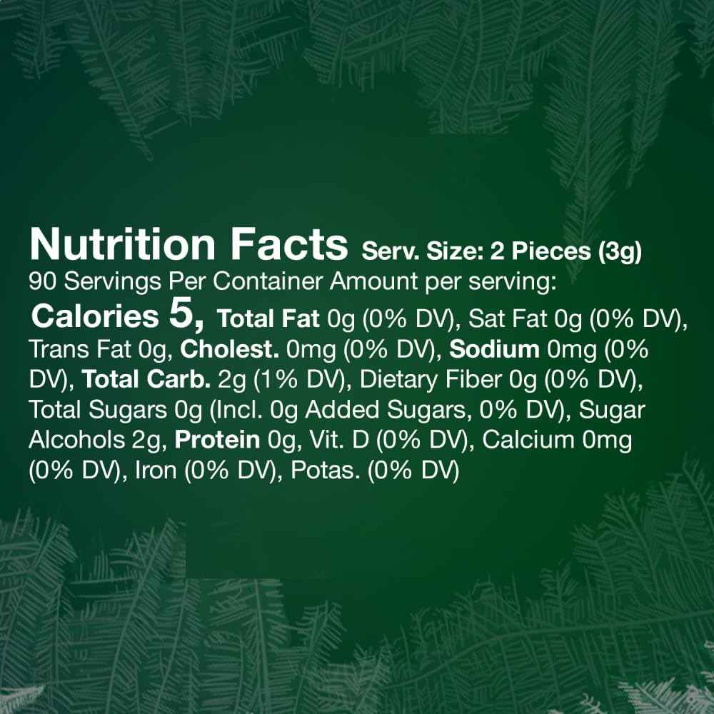 ECLIPSE Spearmint Sugar Free Chewing Gum 180 Piece Bulk – Car Cup Holder Fresh Breath for Road Trips and Errands