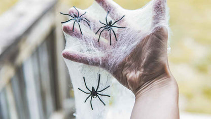 Happy Hippo Spider Web Halloween Decoration – Nursery-Safe Family Decor, Soft Webbing with Plastic Spiders for Kids' Rooms
