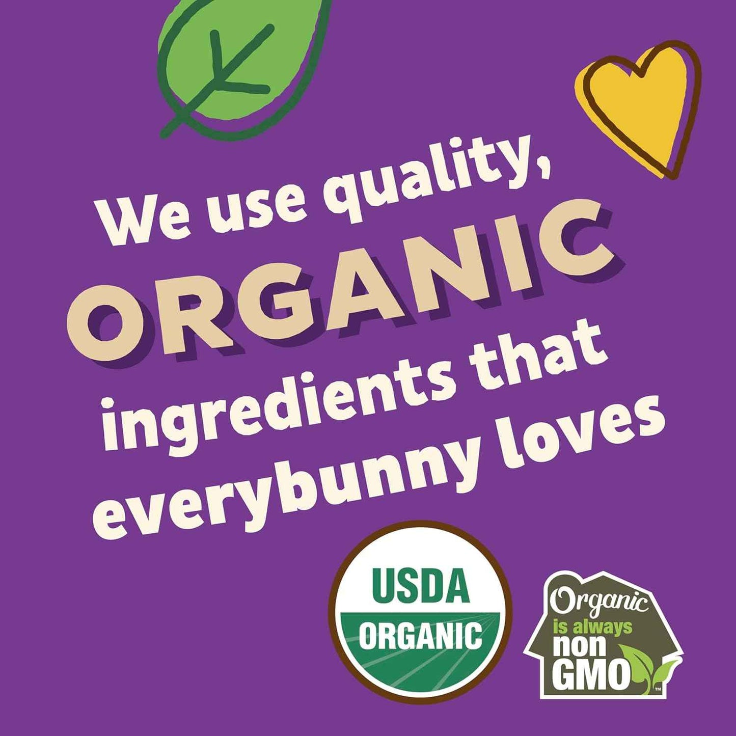 Annie's Snack Variety Pack – Clean Ingredient Snacks for Ingredient-Conscious Parents, USDA Organic