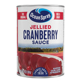 Ocean Spray Jellied Cranberry Sauce – Kid-Friendly Thanksgiving Side for the Family Table, 14 Oz Can Pack of 1