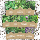 Organic Herb Seeds Variety Pack – Mindful Home Gardening for Stress Relief and Calm, 10 Heirloom Culinary Herbs