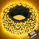 Warm White - 100FT 300LED