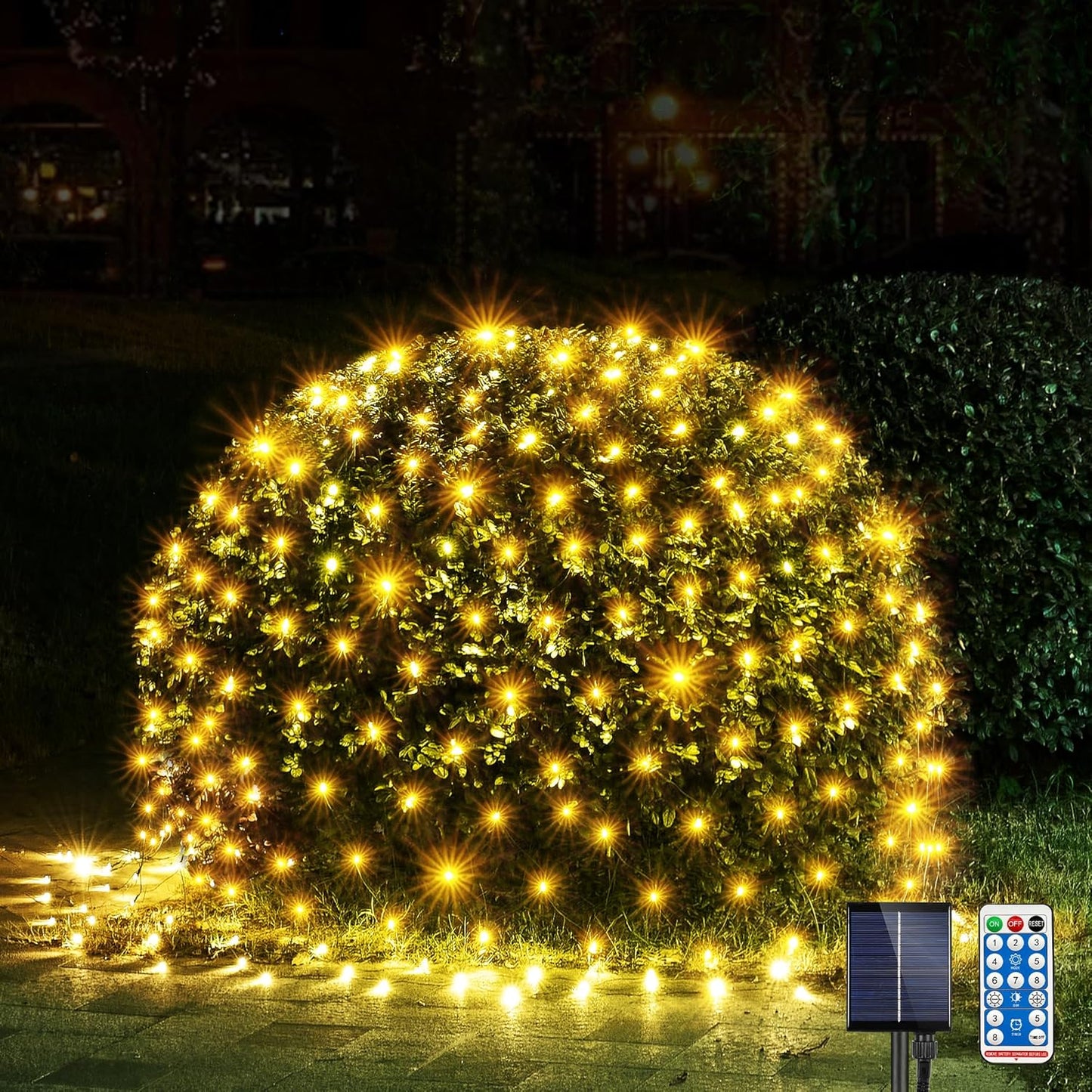 TEEB0DBLYYR4J