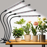 Domus Botanix Grow Light – Focus-Boosting Desk Companion for Home Office Plant Care
