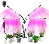 SANSI Grow Light – Calming Plant Companion for Bedroom Wind-Down Rituals and Mindful Spaces