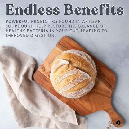 Cultures for Health San Francisco Sourdough Starter – Family Baking Project for the Home Kitchen with Kids