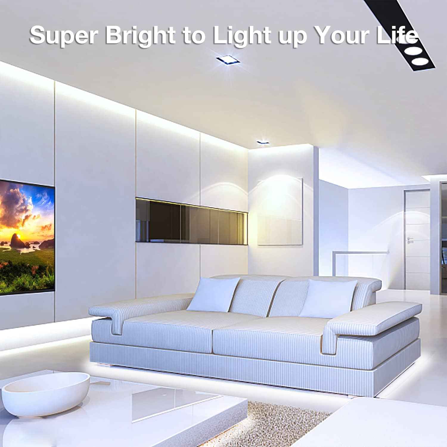 DAYBETTER COB LED Strip – Home Office Bias Lighting for Focused Work Sessions, 16.4 ft Dimmable
