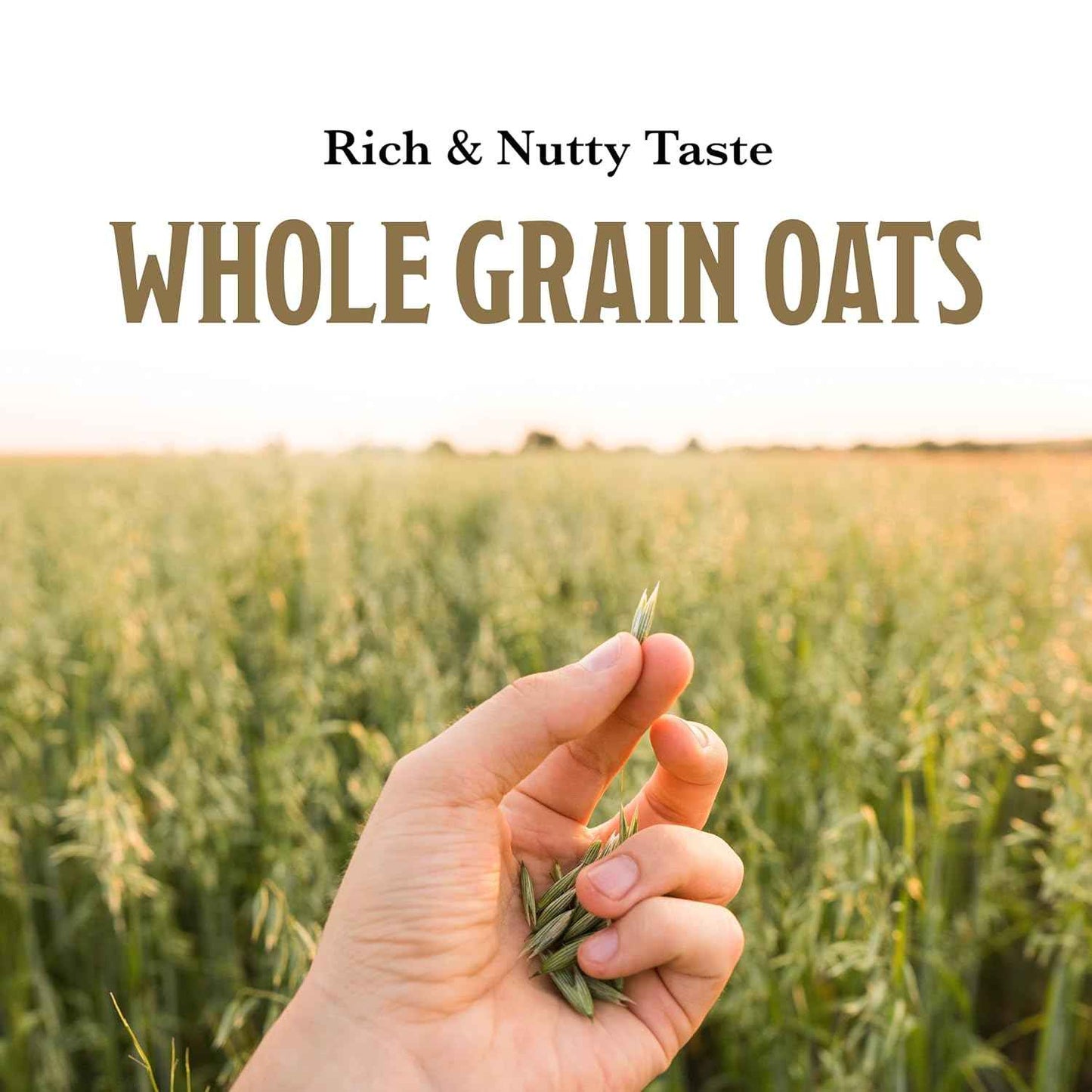McCann's Instant Irish Oatmeal — Pre-School Breakfast for Kids, 3-Minute Family Bowl