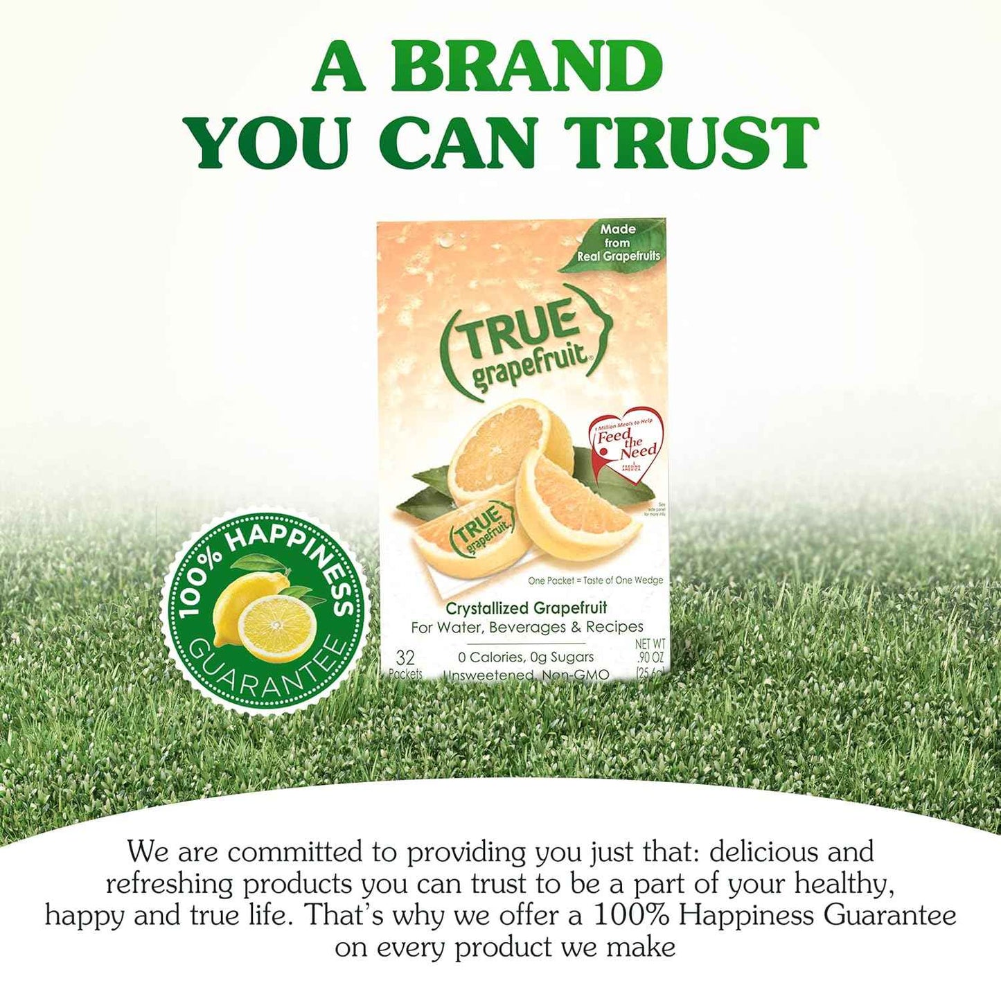 True Citrus Grapefruit Powder Packets – Travel Ready Citrus Flavoring for Hotel Rooms and Restaurant Glasses, Single Serve