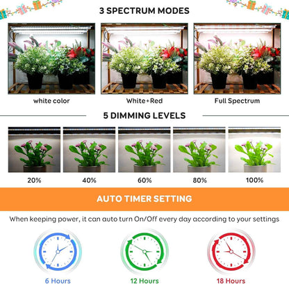 Roleadro 2-Bar Full Spectrum Grow Light – Cozy Bedroom Shelf Accent with Warm 6000K Glow and Auto Timer