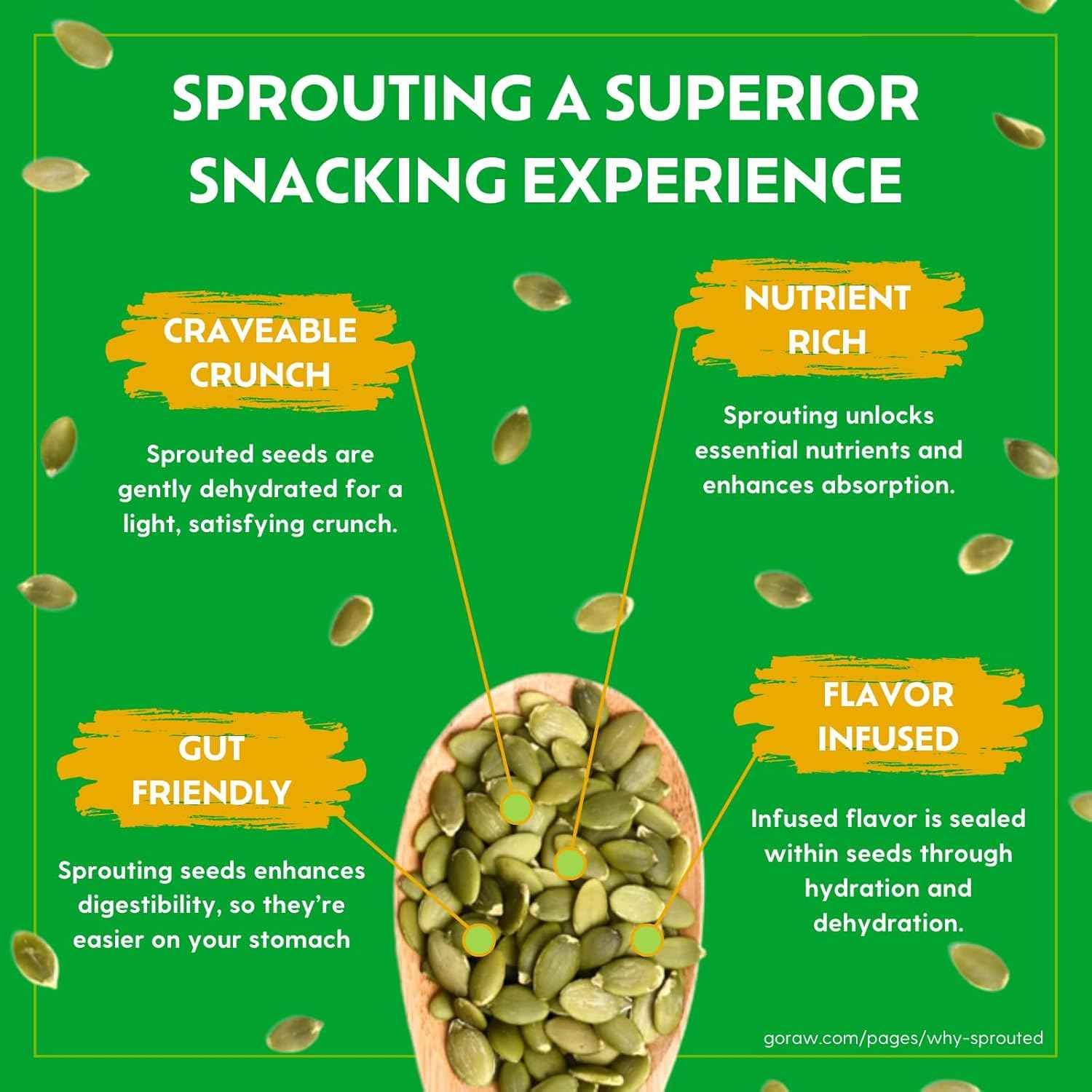 Go Raw Organic Sprouted Pumpkin & Sunflower Seeds – Mindful Keto Pantry Snack for Wellness Routines