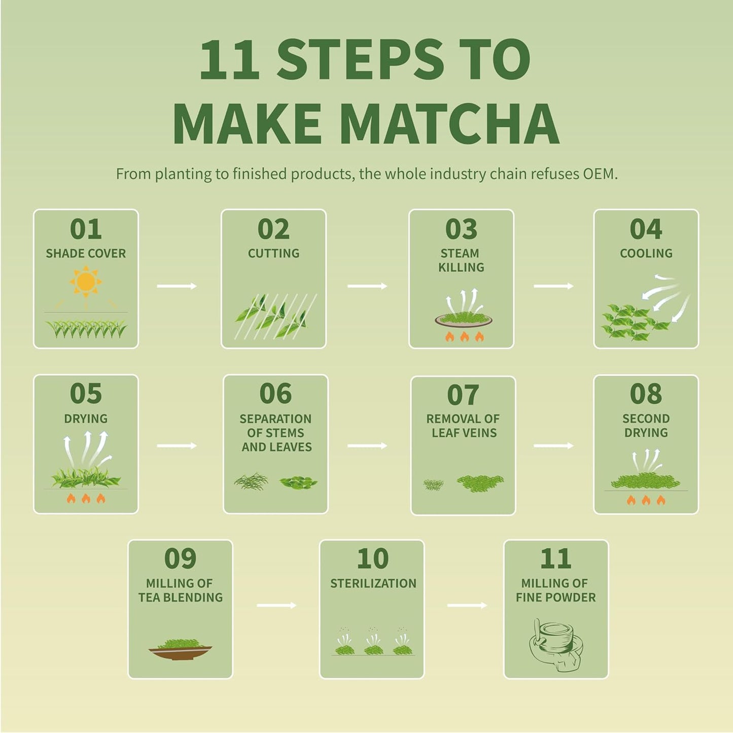 TIAN HU SHAN Pure Matcha Powder – Clean-Label Wellness Boost for Plant-Based Diets, Smooth Lattes and Replenishing Smoothies