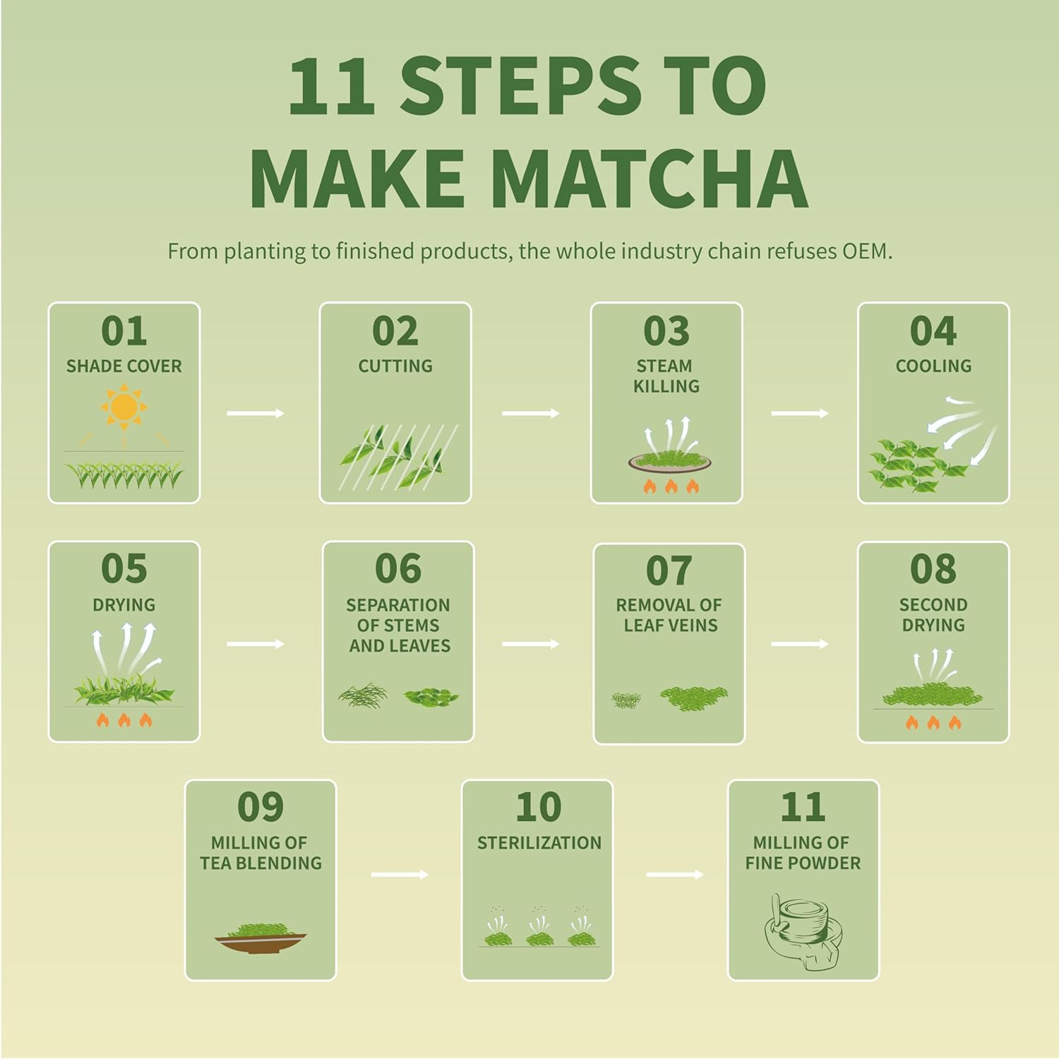 TIAN HU SHAN Pure Matcha Powder – Clean-Label Wellness Boost for Plant-Based Diets, Smooth Lattes and Replenishing Smoothies