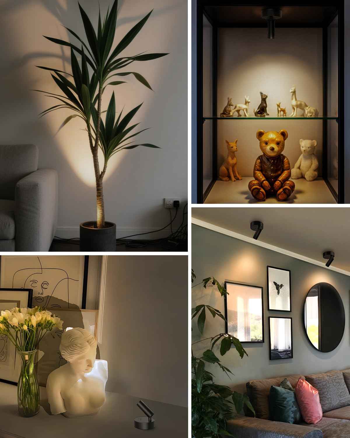 Thoughtful Housewarming Gift for Plant Lovers, Cordless Rechargeable Spotlight with Remote and Timer for Indoor Gardens