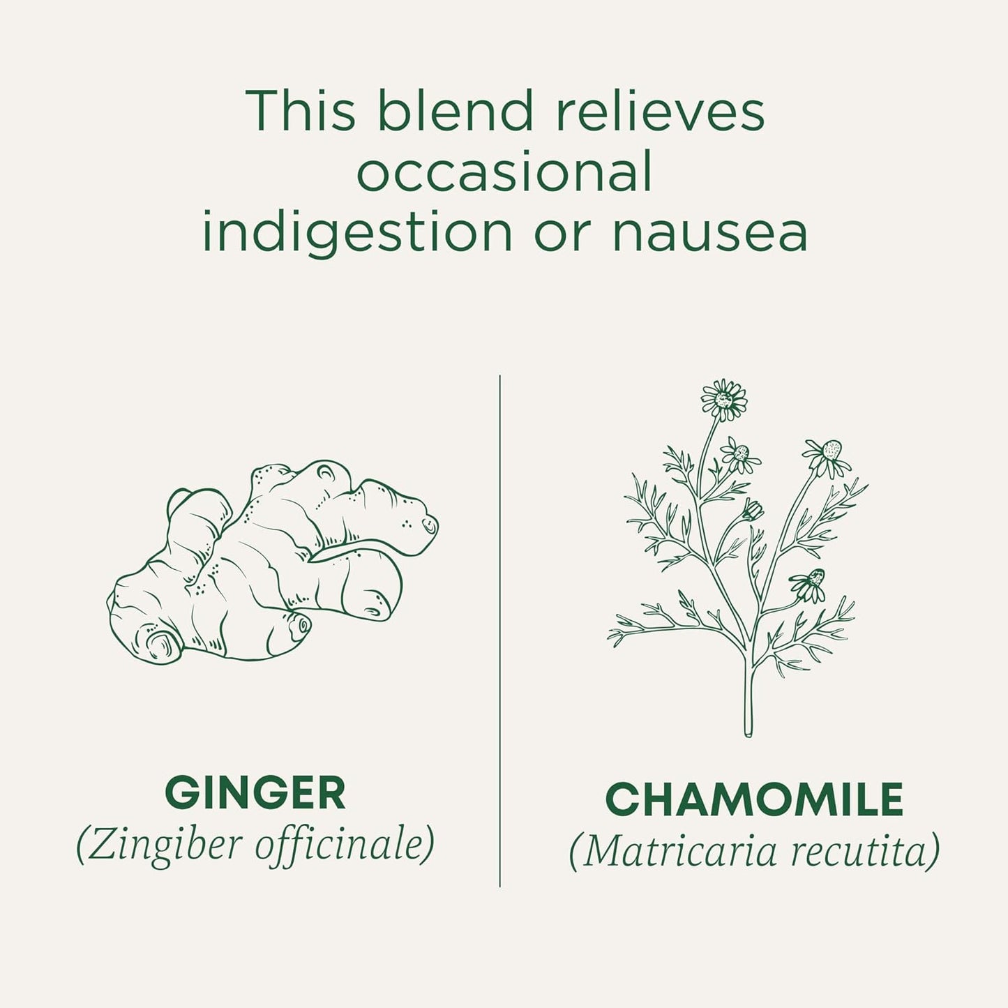 Traditional Medicinals Ginger & Chamomile Herbal Tea – Heartfelt Get Well Care Package Addition for Her, 16 Bags