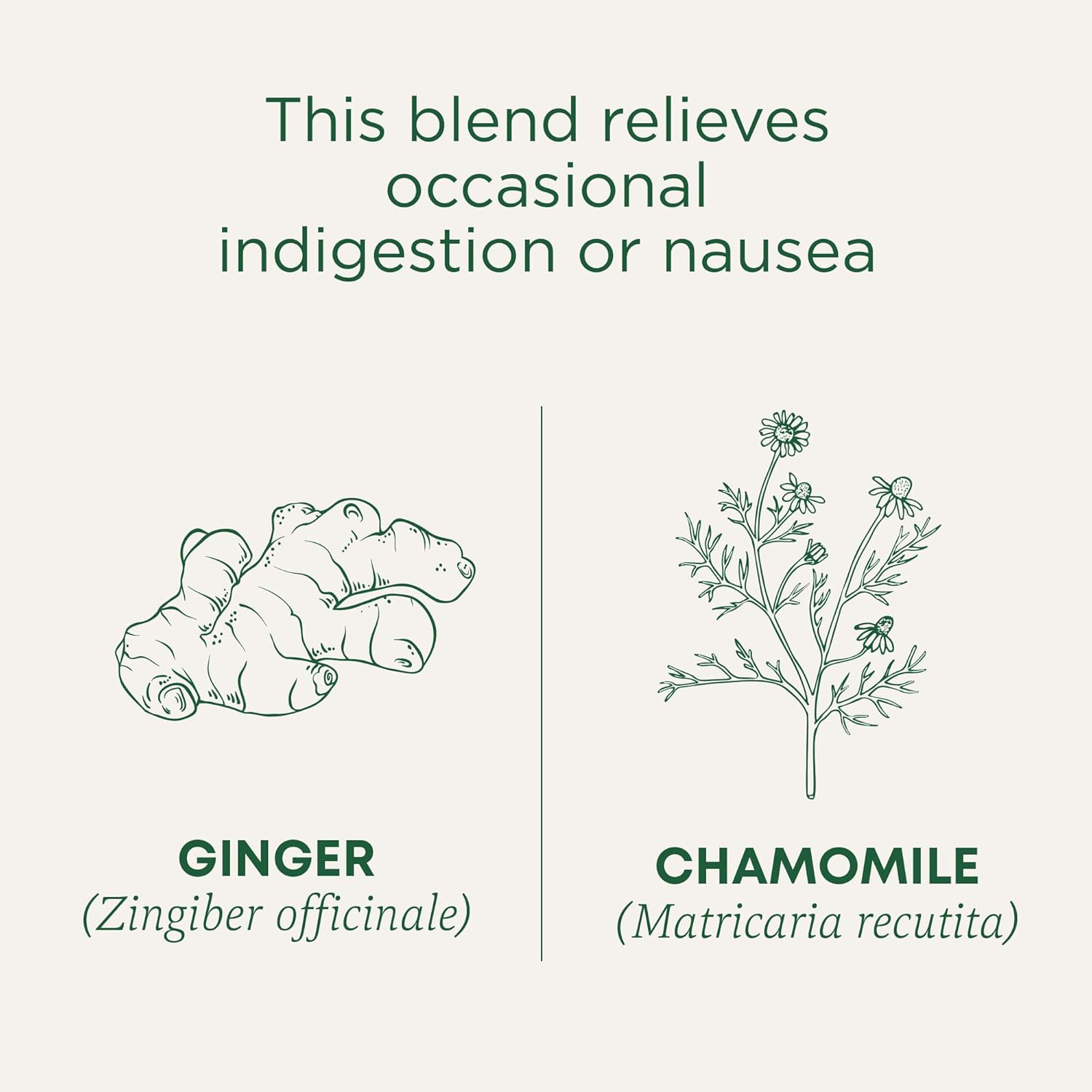 Traditional Medicinals Ginger & Chamomile Herbal Tea – Heartfelt Get Well Care Package Addition for Her, 16 Bags