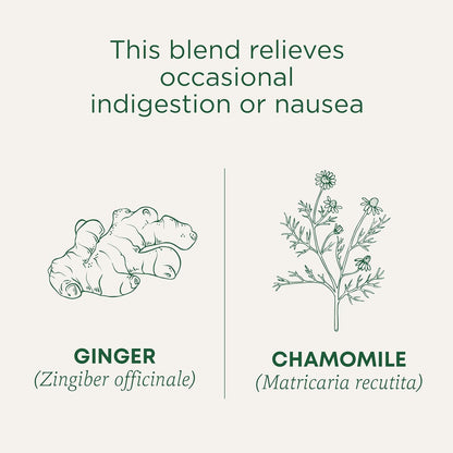 Traditional Medicinals Ginger & Chamomile Herbal Tea – Heartfelt Get Well Care Package Addition for Her, 16 Bags
