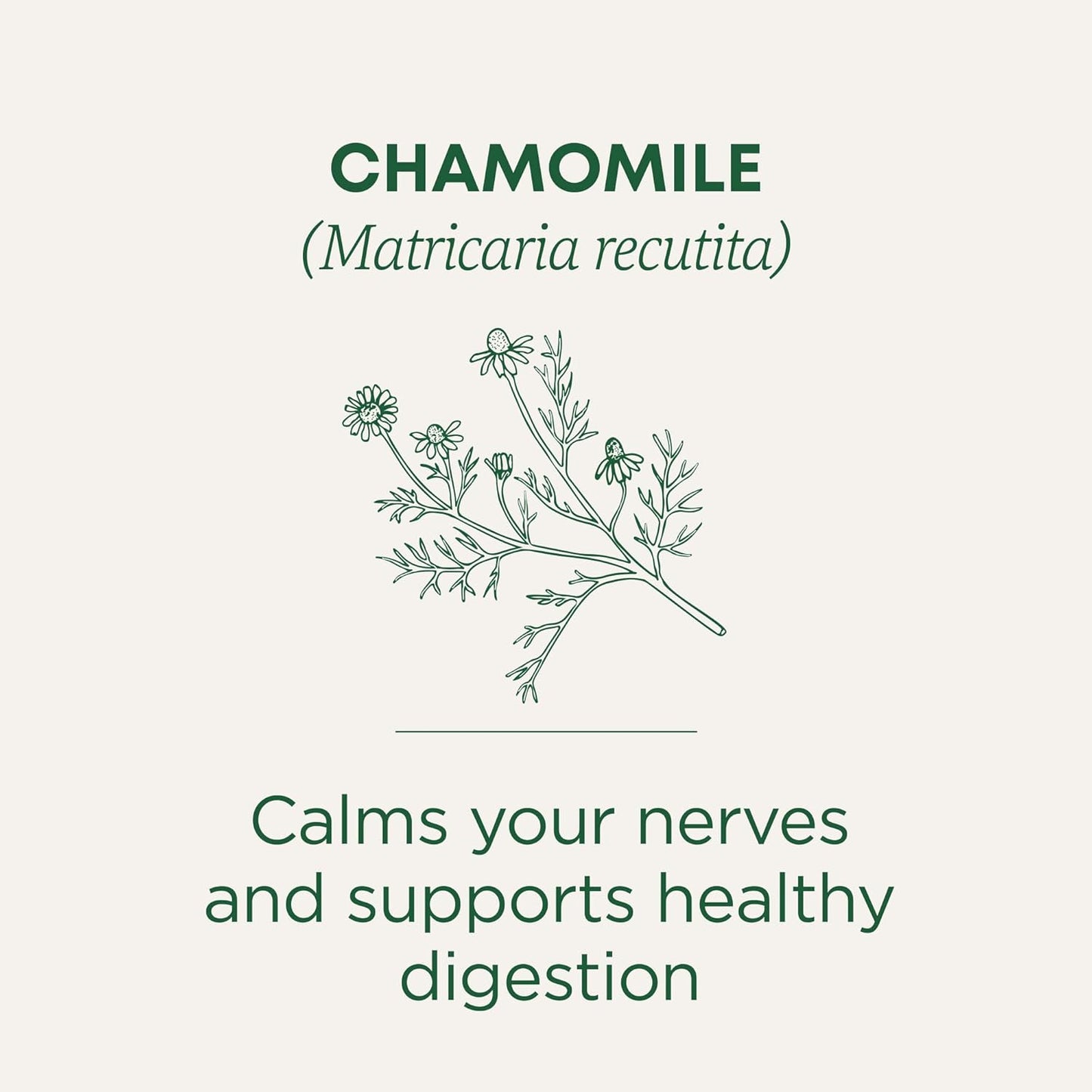 Traditional Medicinals Organic Chamomile Tea – Clean-Label Caffeine-Free Herbal Tea for Intentional Living, 16 Bags