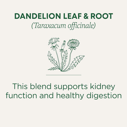Traditional Medicinals Organic Dandelion Leaf & Root Tea – Travel-Friendly Herbal Brew for Camping Mornings