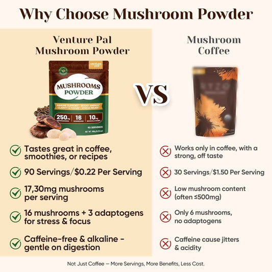 Venture Pal 16-in-1 Adaptogenic Mushroom Powder – Calming Evening Wind-Down Ritual for Stress and Mood Support