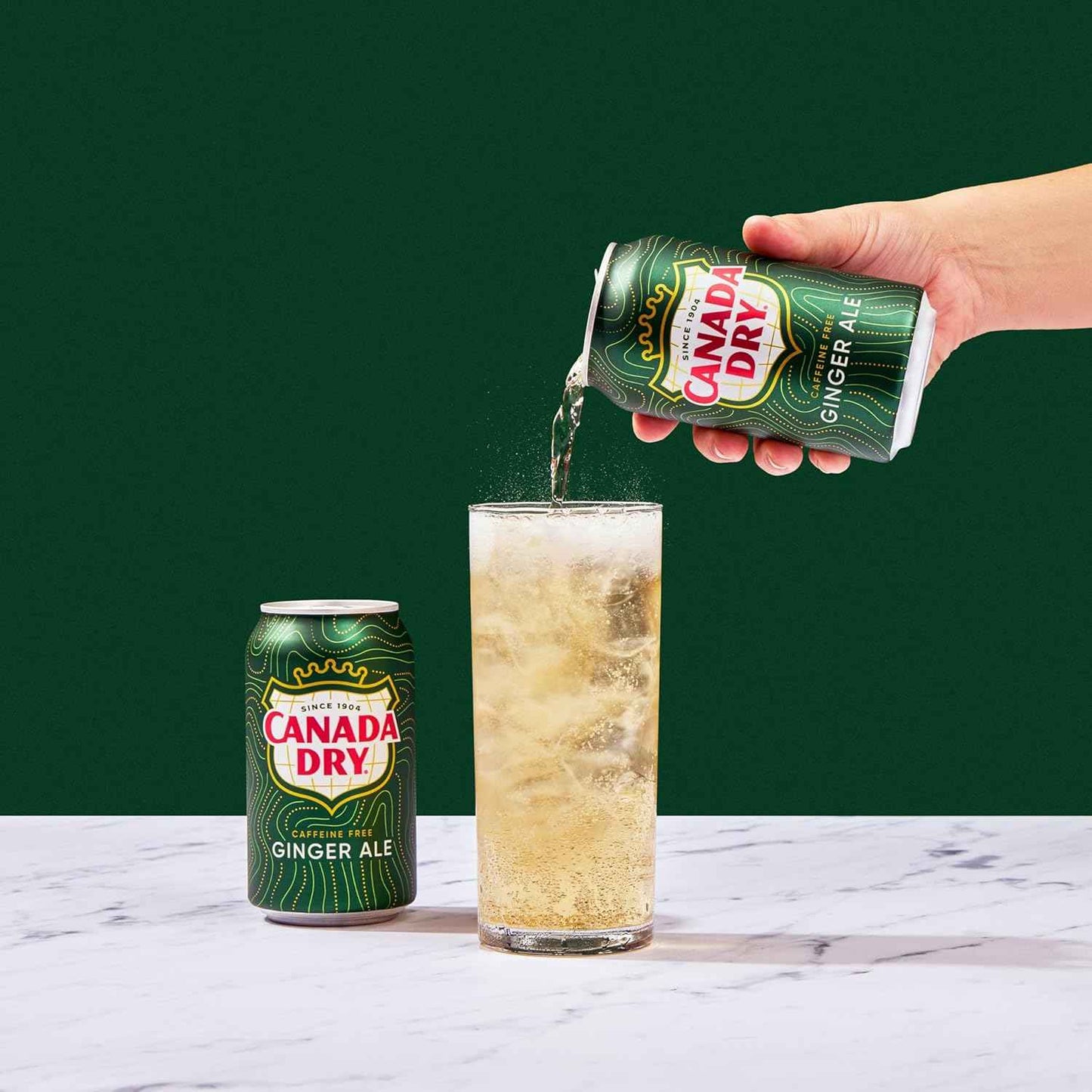 Canada Dry Ginger Ale Soda – Family Movie Night Soda, Caffeine-Free 12 fl oz Cans 24 Pack