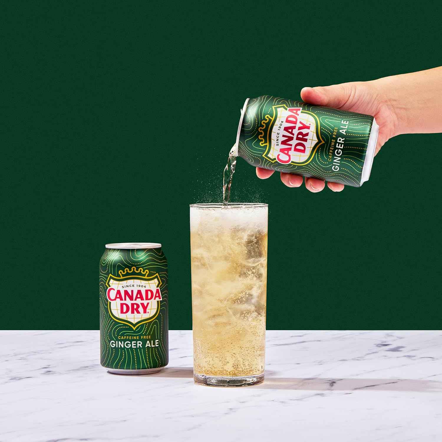 Canada Dry Ginger Ale Soda – Family Movie Night Soda, Caffeine-Free 12 fl oz Cans 24 Pack