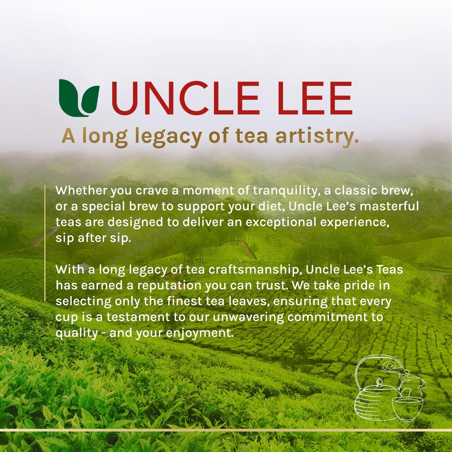 Uncle Lee's Organic Matcha Green Tea Bags – Mindful Morning Beverage for Meditation and Self-Care, 40 Count